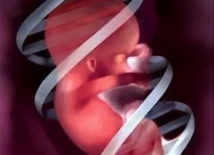 <b>��������������֪ʶ������ʱ������������ҽ���繫��˳����չ</b>