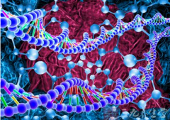 С���򴲷�������