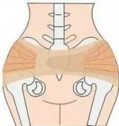 ���Ƿ�Ҳ��������֢�������ţ�