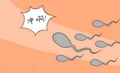 ��ǰ���Բ��ܺ���Щ����Ʒ